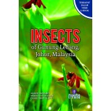 Insects of Guning Ledang, Johor, Malaysia